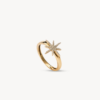 9K Yellow Gold Star Ring with Diamonds